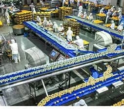 Food & packaging